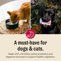 Split image: Left shows an orange cat drinking The Honest Kitchen Instant Goat's Milk Plus from a green bowl; right shows a black dog holding the packet. Text highlights probiotics and enzymes supporting pet digestion.