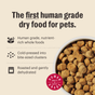 A bowl of The Honest Kitchen Dry Dog Food, Whole Grain Chicken Whole Food Clusters sits beside text promoting “the first human grade dry food for pets,” made with whole food clusters and featuring a red “Human Grade” seal.