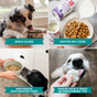 Four images show ways to use The Honest Kitchen Instant Beef Dog Bone Broth with Turmeric: serve alone, as a dog food topper, to rehydrate dry food, or freeze as a treat. Each section features a dog enjoying each method.