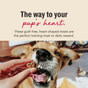 A happy dog eagerly takes a heart-shaped treat from a hand. Text: The way to your pups heart. Dog Treat Parmesan Pecks, Beef & Blueberry by The Honest Kitchen are healthy treats perfect for training or daily rewards.