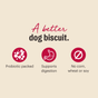 A graphic reads: A better dog biscuit. Icons show Probiotic packed, Supports digestion, and No corn, wheat or soy. On a beige background are The Honest Kitchen Dog Treat Blueberry & Vanilla Goats Milk N Cookies made with premium ingredients.