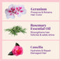 Infographic with geranium to preserve hair color, rosemary essential oil to strengthen follicles and add shine, and camellia to hydrate and repair—key ingredients in The Powder Shampoo’s Nourishing Repair Conditioner.
