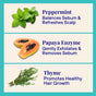 Three panels show peppermint leaves, papaya, and thyme with text: Purifying Shampoo by The Powder Shampoo uses peppermint oil to balance sebum, papaya enzyme to exfoliate, and thyme to promote healthy hair—sulfate-free powder formula.