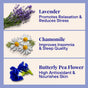 Illustration of three flowers on a beige panel for The Powder Shampoos Relaxing Night Body Foam Wash: Lavender Essential Oils stating Promotes Relaxation & Reduces Stress, Chamomile indicating Improves Insomnia & Sleep Quality, and Butterfly Pea Flower Extract claiming High Antioxidant & Nourishes Skin.