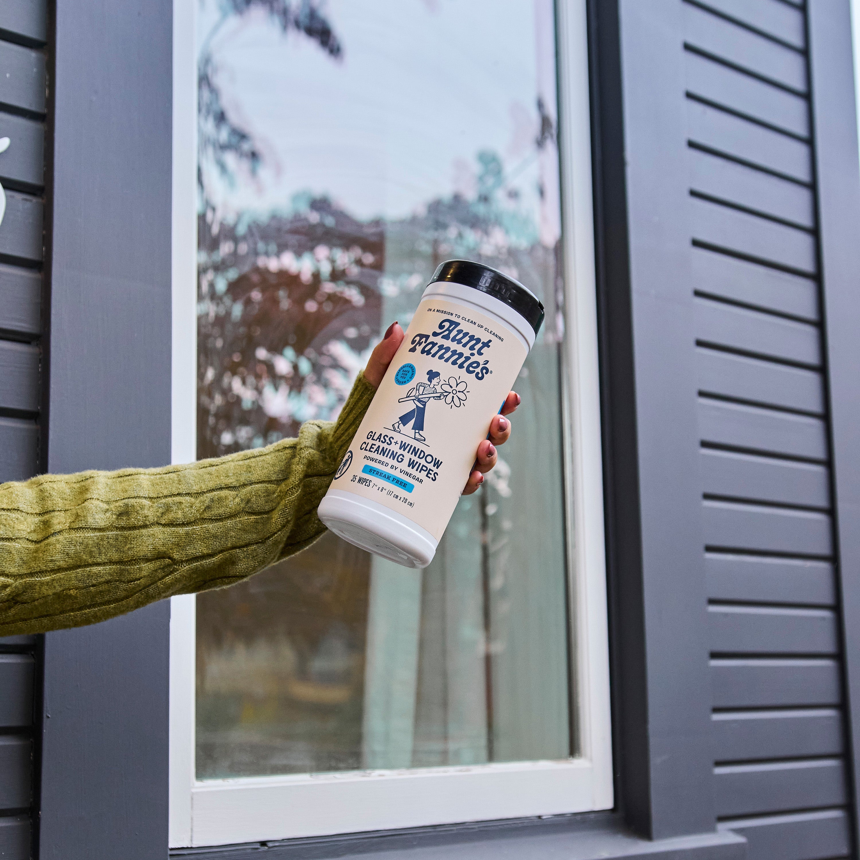 Aunt Fannie's Glass + Window Cleaning Wipes - Thumbnail 5