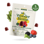 A package of Plant People WonderBiome 2-1 Pre & Probiotic Gummies is shown with mixed berries, artichoke, and gummies. The label highlights 5 billion CFU, vegan, zero sugar, and gluten-free for gut microbiome support.
