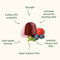 A dark red WonderBiome 2-1 Pre & Probiotic Gummy by Plant People is surrounded by blueberries, a strawberry, and green leaves. Text highlights: 0g sugar, prebiotic + probiotic for digestive health, 5B CFU probiotics, shelf-stable, vegan, gluten-free.