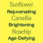 Text on a yellow background reads: Sunflower (Rejuvenating), Camellia (Brightening), and Rosehip (Age-Defying). These powerful carrier oils are expertly blended in Plant Therapy’s Younger Glo Facial Oil to create an effective anti-aging formula that also doubles as a nourishing facial moisturizer.