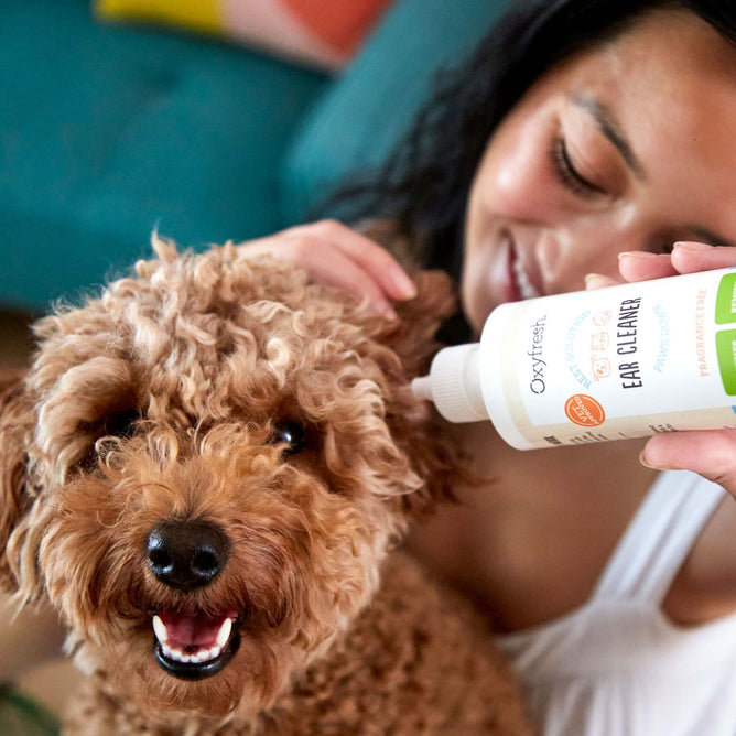 Clean Your Dog Best Thing To Use To Clean Dog's Ears SUPSERSR