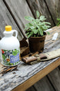 A small potted plant, a bottle of plant food, and garden tools rest on a weathered wooden bench beside a rustic wooden wall, suggesting a gardening scene.