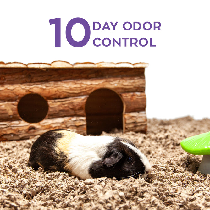 Carefresh Best Ferret Litter For Odor Control Best Rabbit Bedding