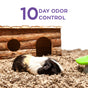 A black, white, and brown guinea pig sits on carefresh Small Animal Bedding made from reclaimed paper fiber, Natural, in front of a wooden hideout. Purple text above reads 10 Day Odor Control.