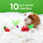 A brown and white guinea pig sits on carefresh Small Animal Bedding made from reclaimed paper fiber, White, with toy vegetables. Text above reads 10 Day Odor Control on a bright green background.