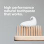 A wooden toothbrush with white Davids Premium Toothpaste - Whitening + Antiplaque is shown close-up against a plain background. Text above reads, “high performance natural whitening toothpaste that works.”.