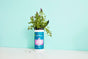A container of cleaning vinegar wipes with a blue label sits on a white surface, holding a bunch of fresh lavender stems instead of wipes, against a pastel turquoise background.