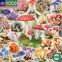 A vibrant watercolor illustration of colorful mushroom species, each labeled, against a white background. Featured on the eeBoo Piece & Love “Bountiful Mushrooms 1000 Piece Puzzle” box.