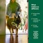 A happy dog carrying a toy enters a house, guided by a person holding a leash. The image features text promoting eco-friendly values, highlighting responsibility, durability, and B Corp certification, with a green background.
