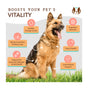 A German Shepherd sits on grass surrounded by icons and text highlighting pet health benefits: healthy energy, cognitive benefits, heart health, joint and bone support, support for seasonal allergies, and moisturized skin and shiny coat.