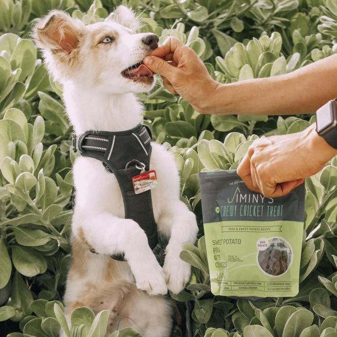 Sweet Potato Peas Training Treats