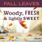 Falling autumn leaves in warm hues with the text: FALL LEAVES. Woody, fresh, and lightly sweet—like our limited edition Mrs. Meyer’s Dish Soap. The Mrs. Meyer’s Clean Day logo is shown in the bottom right corner.
