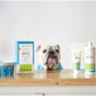 A bulldog wearing a blue polka-dot shirt sits behind a counter with a dental kit box, toothpaste tube, water additive bottle, two finger brushes, and a blue bowl arranged neatly.