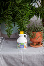 A white bottle of plant food with a yellow cap sits on a gray cloth beside a terracotta pot of delicate green vines and a lush green fern in a blue planter.