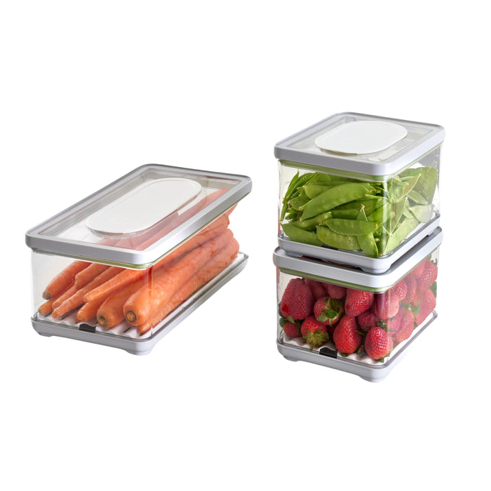 Three clear plastic containers with gray lids; one contains whole carrots, another holds snap peas, and the third is filled with strawberries. The containers are arranged in a tidy manner on a white background.