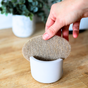 A hand places a brown Scrub Be Love Oval Dish Sponge from the 6-Pack, made of natural fibers, into a small white ceramic holder on a wooden surface. A potted plant is blurred in the background.