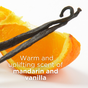 Close-up of sliced mandarin and vanilla beans on a white background. Text overlay reads: 