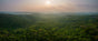Panoramic view of a dense, green forest stretching to the horizon under a hazy sky at sunset, with soft sunlight filtering through scattered clouds above the treetops.