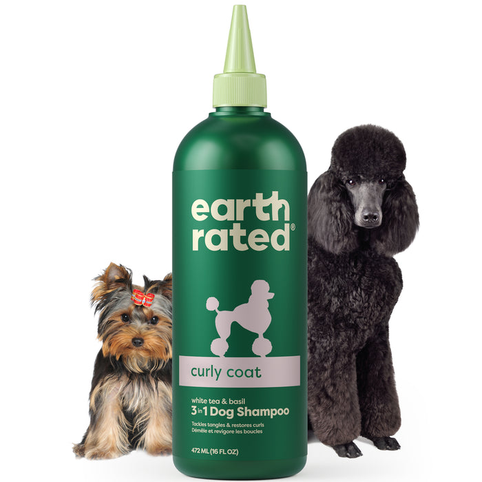 A bottle of Earth Rated curly coat 3-in-1 dog shampoo is centered between a small Yorkshire Terrier with a red bow and a black Standard Poodle, both standing and facing forward.
