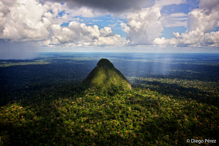 A lone, dome-shaped mountain rises from a vast, dense green rainforest under a dramatic sky with scattered clouds and sunlight beams. © Diego Pérez.