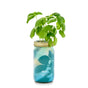 A basil plant flourishes in Modern Sprouts Garden Jar, a transparent hydroponic jar with a blue base and gold lid. Labeled as the Basil Hydroponic Grow Kit, it provides fresh herbs with minimal upkeep, with vibrant green leaves contrasting its minimalist design.
