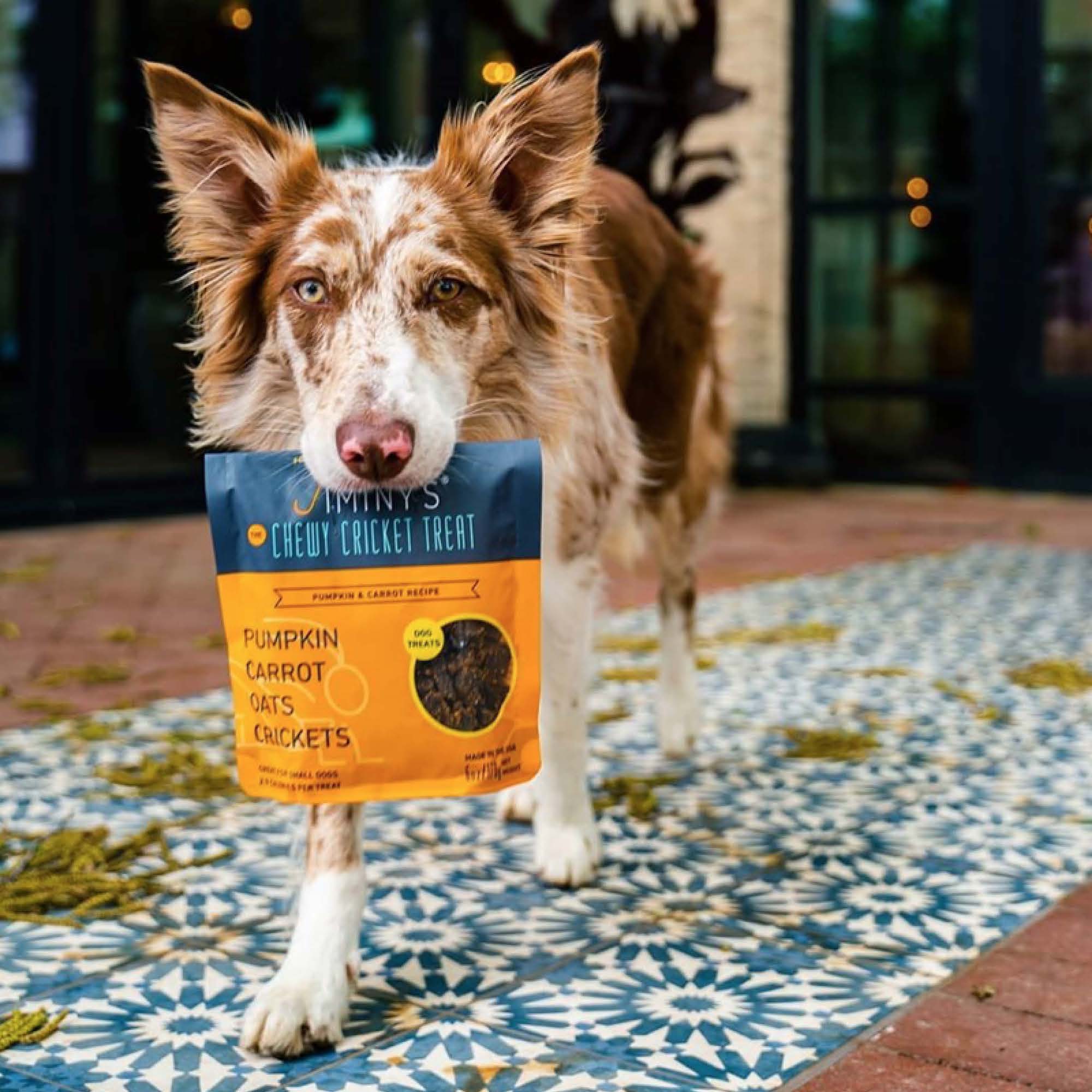 Pumpkin Carrot Training Treats - Main Image