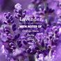 Close-up of lavender flowers with text overlay: Lavender with notes of orange peel, herbs, cedar, and rose. A softly blurred purple background highlights the flowers in the foreground—perfect inspiration for refreshing glass surfaces throughout your home with Mrs. Meyer’s Glass Cleaner, a gentle and ammonia-free solution.
