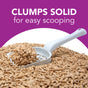 A white scoop holds a solid clump of okocat Low Tracking Clumping Wood Cat Litter above loose litter. Purple text reads, “CLUMPS SOLID for easy scooping.”.