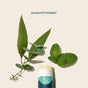 A tube of Cliganic Organic Lip Balm in Eucalyptus Mint is placed beside fresh eucalyptus leaves and mint leaves on a light beige background. The text above reads "EUCALYPTUS MINT.