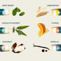 Experience the Cliganic Organic Lip Balm Set - Rainforest Fresh, featuring six nourishing lip balms, each artfully crafted with ingredients representing its unique flavor: mint leaves for Mint Burst, pure beeswax for Unscented, eucalyptus leaves for Eucalyptus Mint, fresh orange slices for Citrus, coconut for Coconut, and vanilla beans for Vanilla. Made with care by Cliganic and infused with essential oils, these natural lip balms provide a gentle and moisturizing touch to care for your lips.
