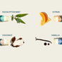 Experience four harmonious deodorants, each featuring distinct matching ingredients—eucalyptus mint with fresh leaves, citrus with vibrant orange slices, coconut alongside a cracked coconut, and vanilla with vanilla beans plus two drops—all thoughtfully labeled. For all-over freshness you can trust, pair these invigorating scents with Cliganic’s Organic Lip Balm Set - Sweet Bliss.