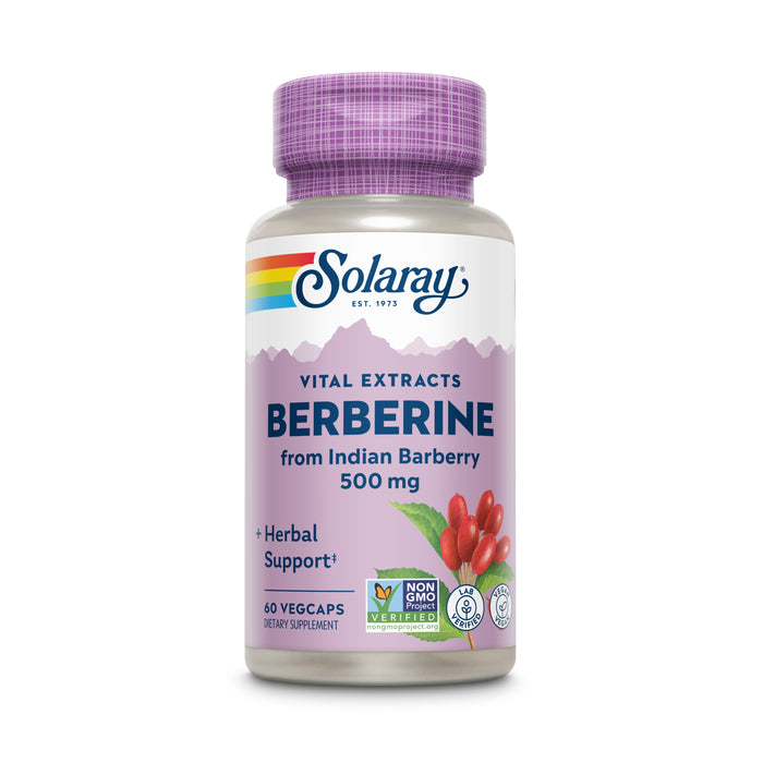 A bottle of Solaray Berberine dietary supplement with a purple label showing Berberine from Indian Barberry 500 mg, images of barberries, and certification logos. The bottle contains 60 vegcaps.