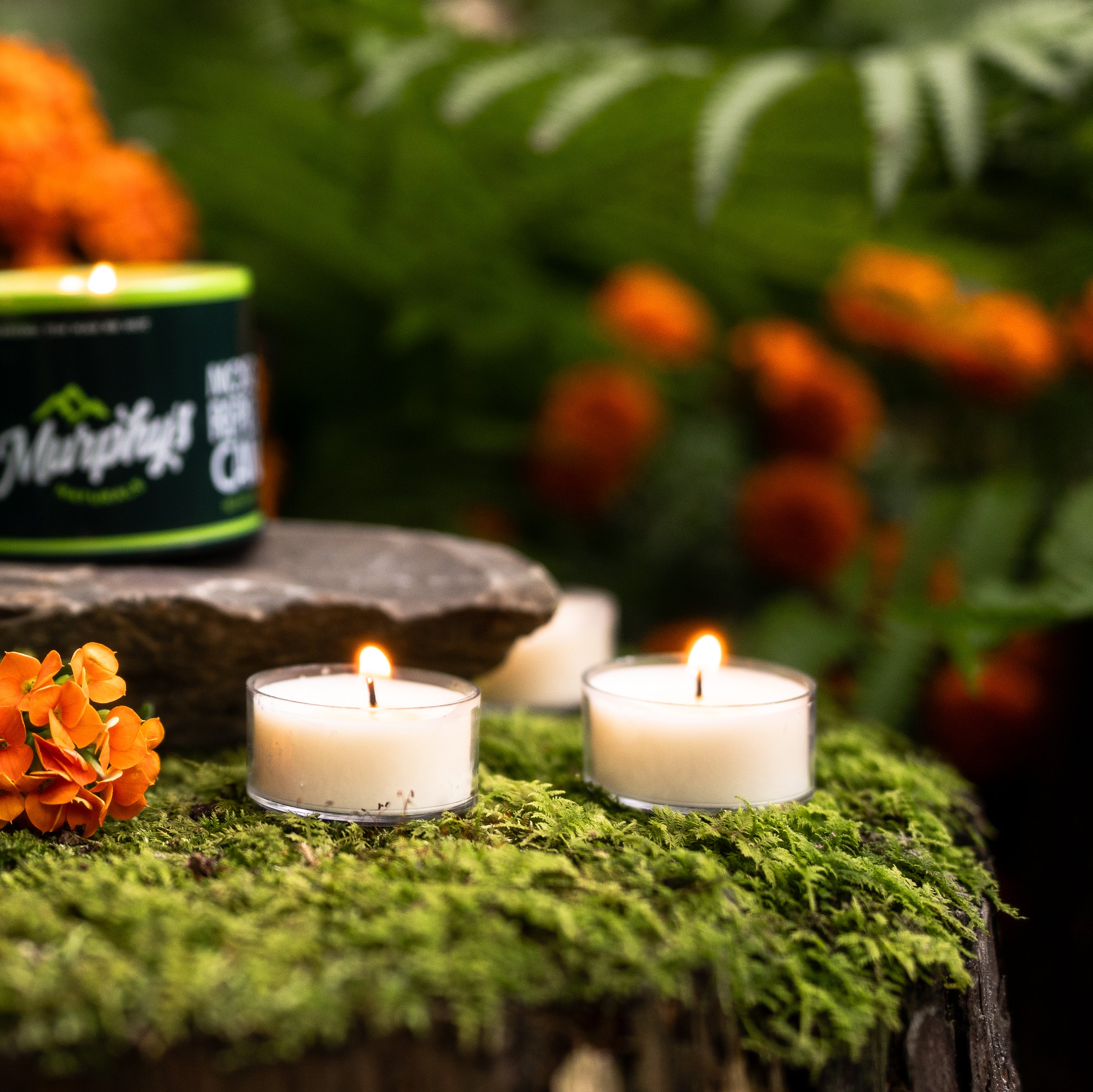 Murphy's Naturals Mosquito Repellent Candles - Thumbnail 5