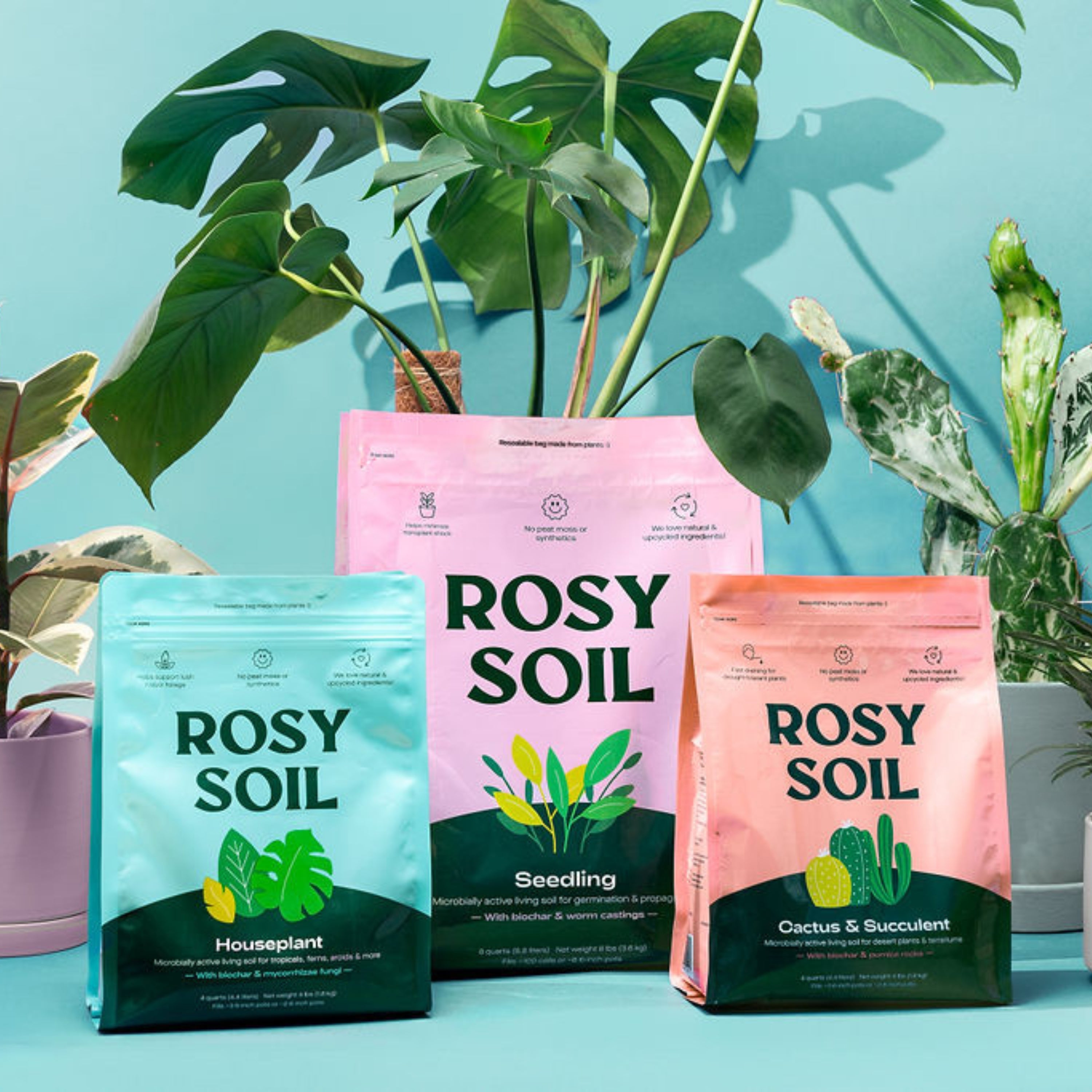 Rosy Soil Potting Soil Mix - Thumbnail 5