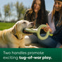 A Labrador playing tug-of-war with a toy held by two women in a park. Both women are smiling and sitting on grass, enjoying the sunny day. Text below reads: 