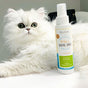 A fluffy white cat with green eyes lies next to a bottle of Oxyfresh Dental Spray for pets on a white surface. The cat looks alert and calm, with the product bottle clearly visible in the foreground.