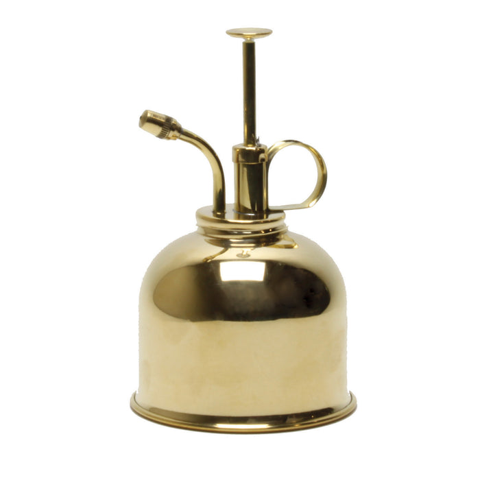 A shiny brass plant mister with a round base, a small spout, a ring-shaped handle, and a pump on top.
