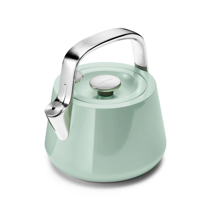 A modern, mint green kettle with a shiny stainless steel handle and lid, photographed on a white background.