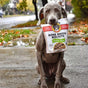A gray dog sits on a sidewalk holding a bag of bone broth biscuits in its mouth. The ground is wet and scattered with autumn leaves, and houses and trees are visible in the background.