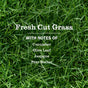 Text over green grass reads: Fresh Cut Grass with notes of cucumber, olive leaf, jasmine, and pear nectar—reminiscent of Mrs. Meyer's Dish Soap, a liquid dish soap loved for its fresh scents and cleaning power.