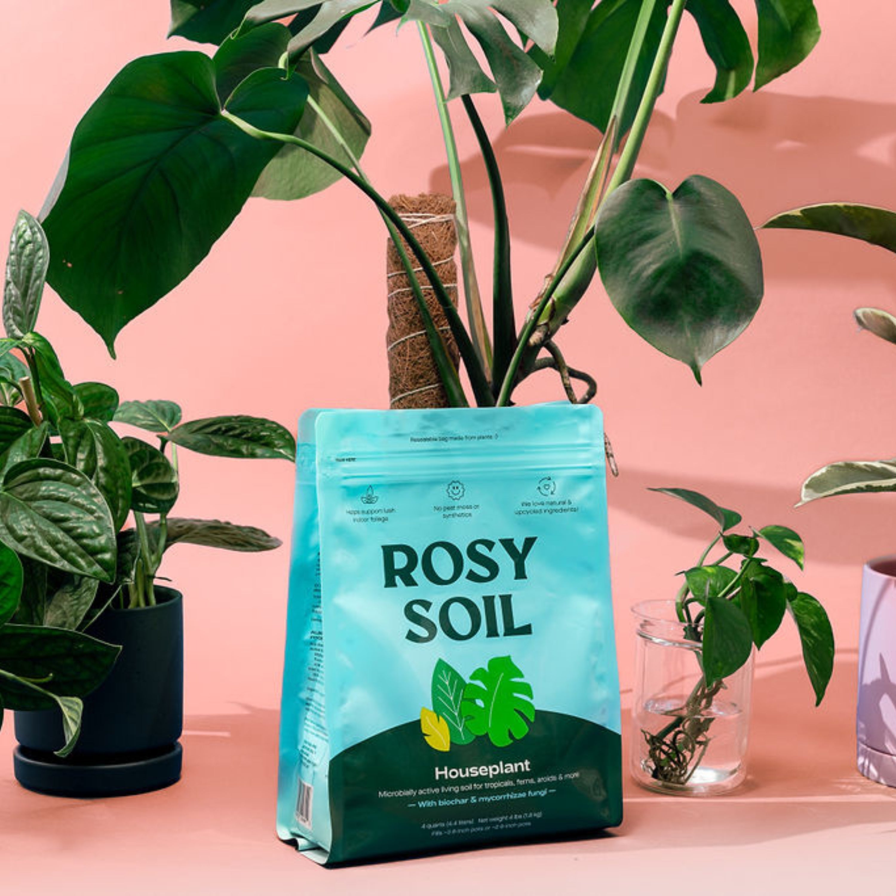 Rosy Soil Potting Soil Mix - Thumbnail 3
