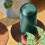 A sleek green container labeled biom sits on a round wooden table, surrounded by leafy plants in natural sunlight.